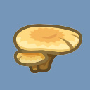 Flat Mushroom