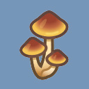 Skinny Mushroom